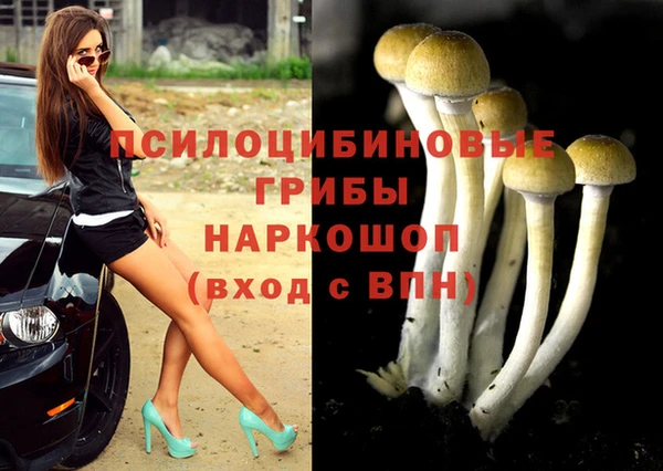 мдпв Няндома