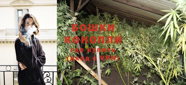 гидра Новозыбков