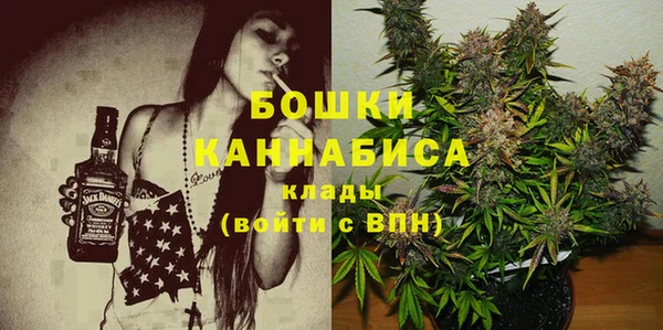 не бодяженный Новодвинск