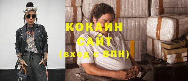 мдпв Няндома